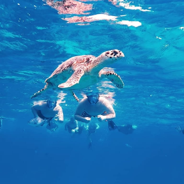 Snorkeling tours in Cozumel | Cozumel snorkeling- Jet Ski Cozumel