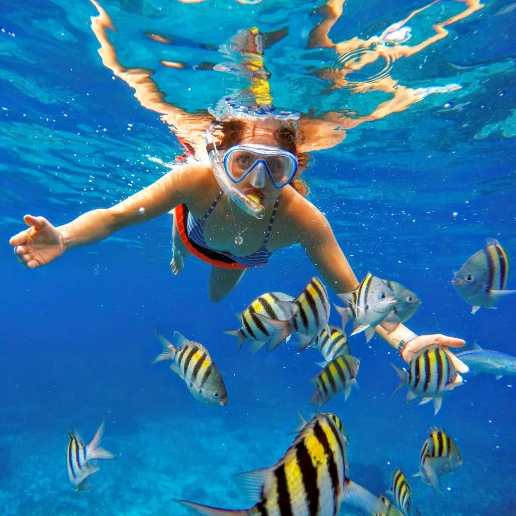 Snorkeling tours in Cozumel | Cozumel snorkeling- Jet Ski Cozumel